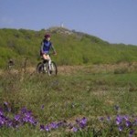 Activités sportives et nature dans les monts de Lacaune pendant vos vacances à Les Rives du Lac du Laouzas, Tarn (Midi-Pyrénées)