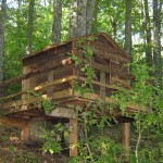 Visites et animations culturelles et ateliers artisanaux pendant vos vacances à Les Rives du Lac du Laouzas, Tarn (Midi-Pyrénées)
