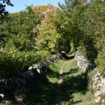 Activités sportives dans les monts de Lacaune pendant vos vacances à Les Rives du Lac du Laouzas, Tarn (Midi-Pyrénées)