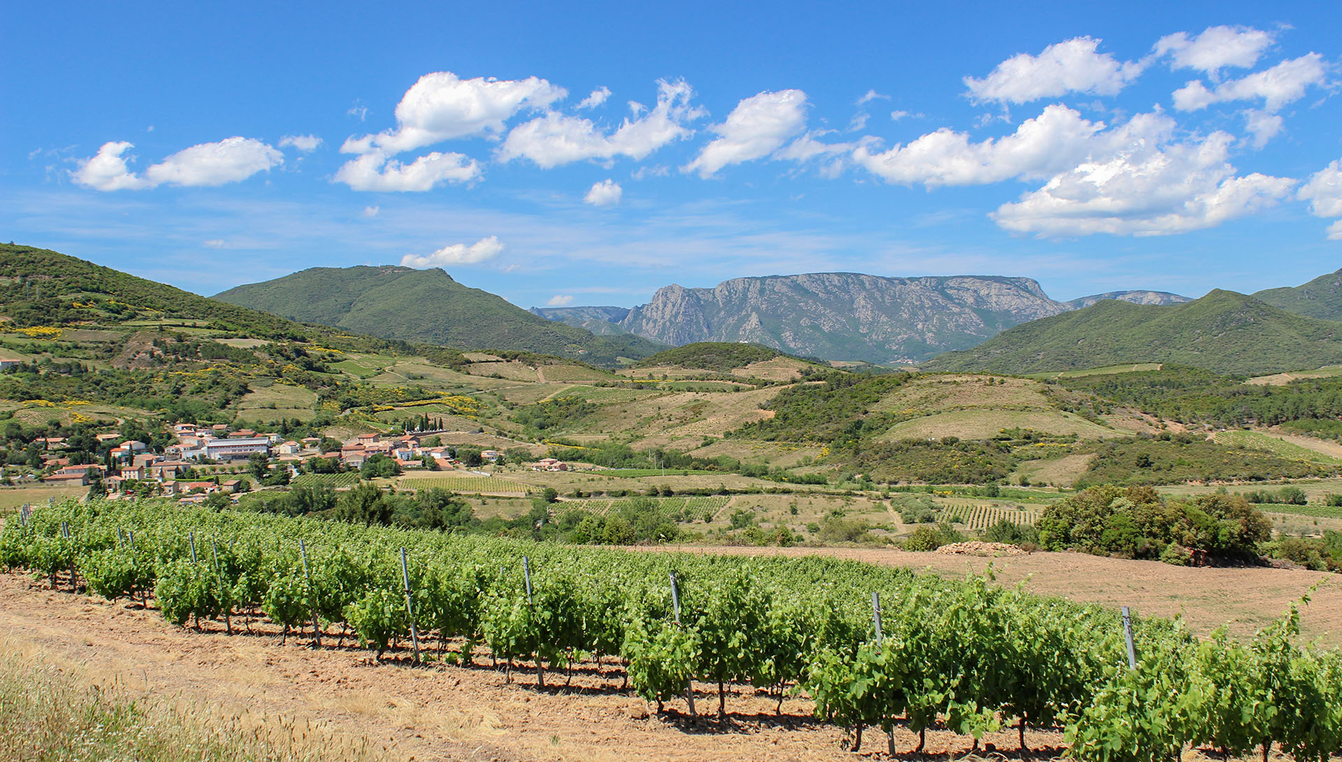 camping parc naturel haut languedoc